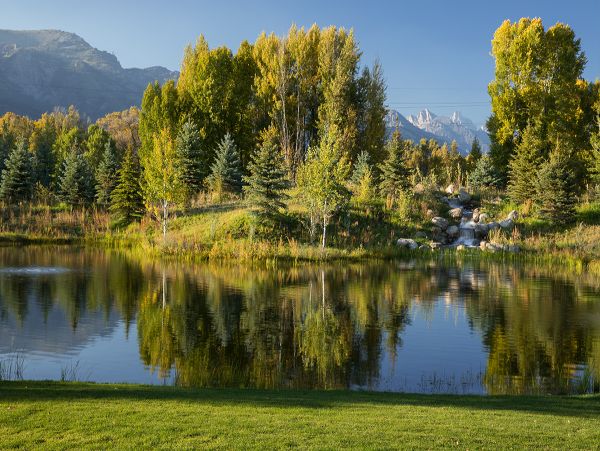 Jackson Hole Wy Home 1005394