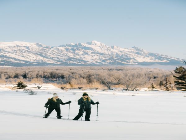 Jackson Hole Wy Home 1005417
