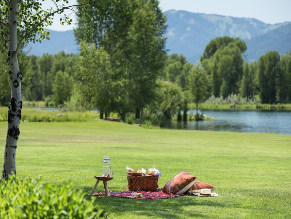 Jackson Hole Wy Home 1005444