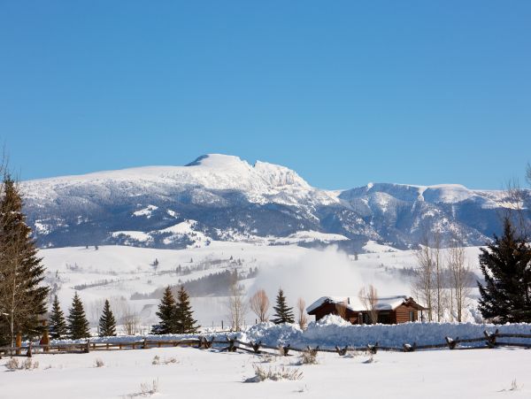 Jackson Hole Wy Home 1005473