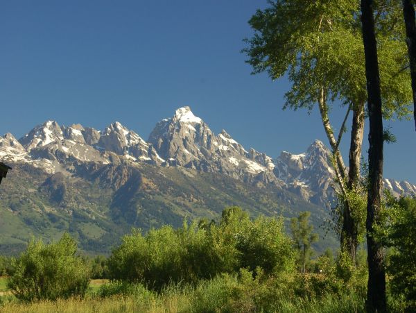 Jackson Hole Wy Home 1005474