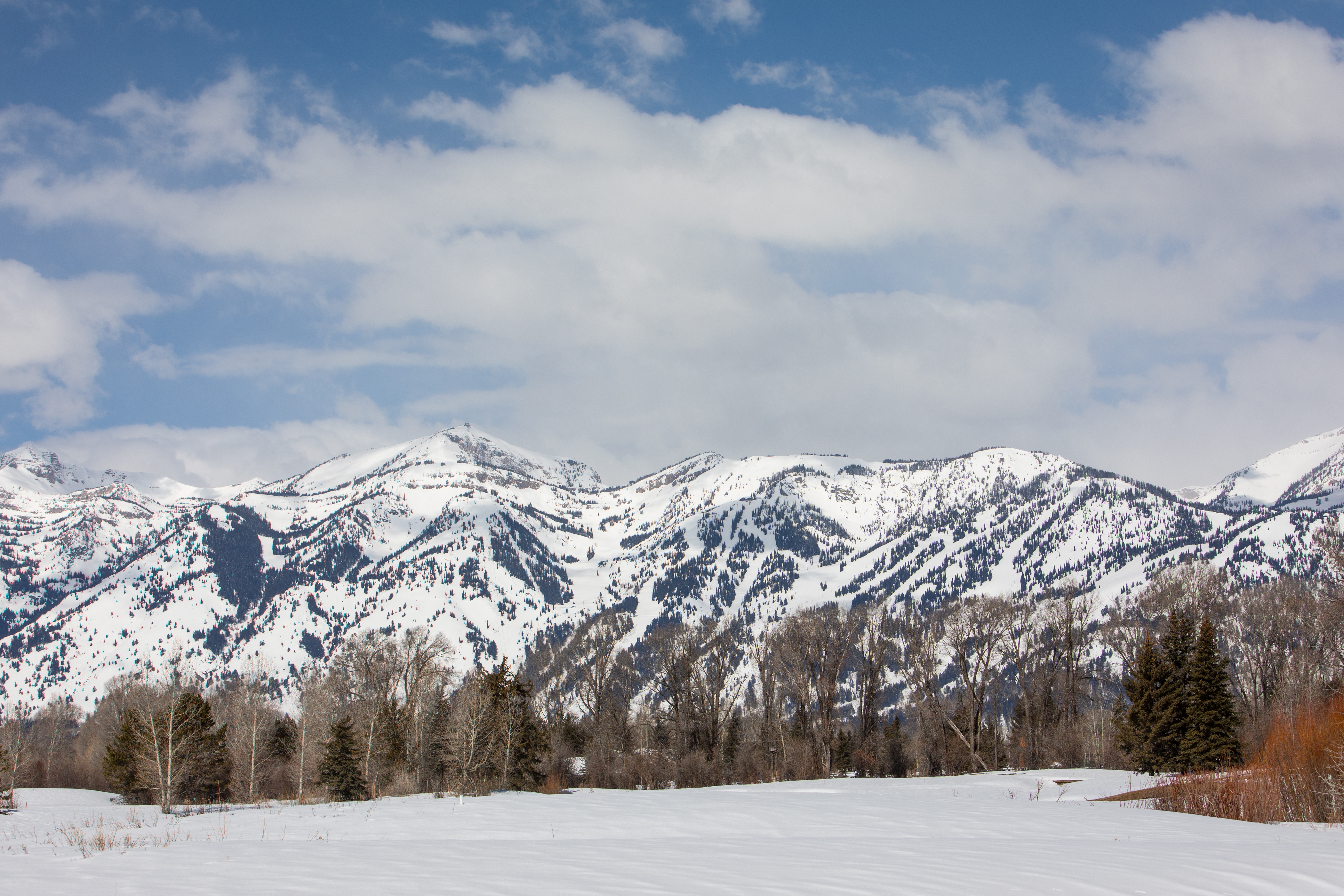 Jackson Hole Wy Home 1005475