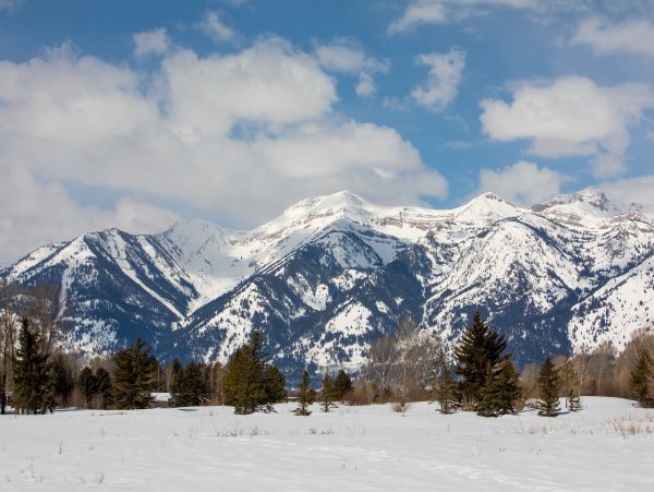 Jackson Hole Wy Home 1005475