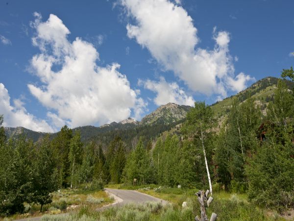Jackson Hole Wy Home 1005482