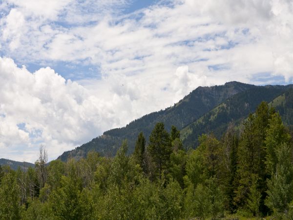 Jackson Hole Wy Home 1005482