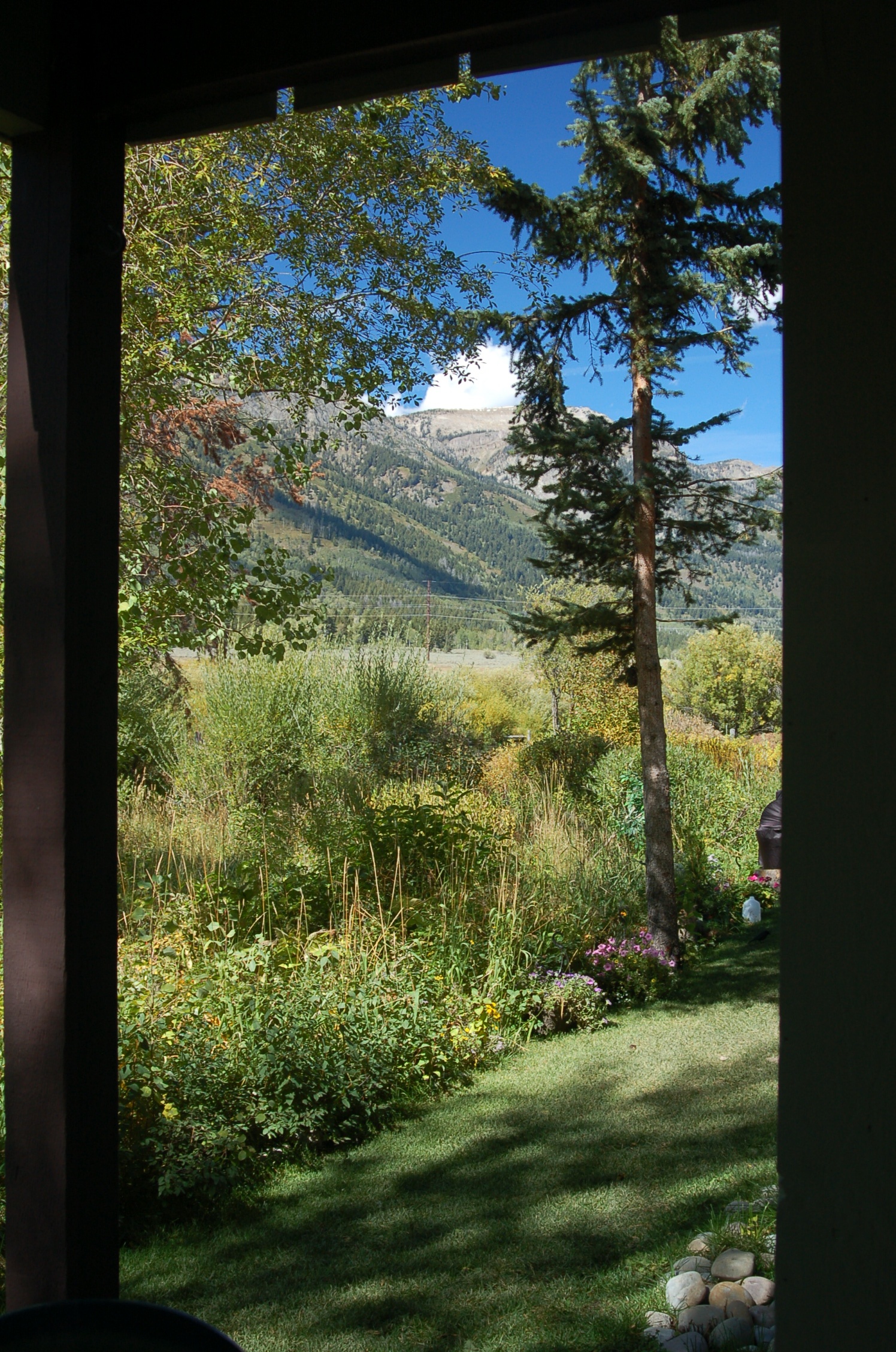 Jackson Hole Wy Home 1005491