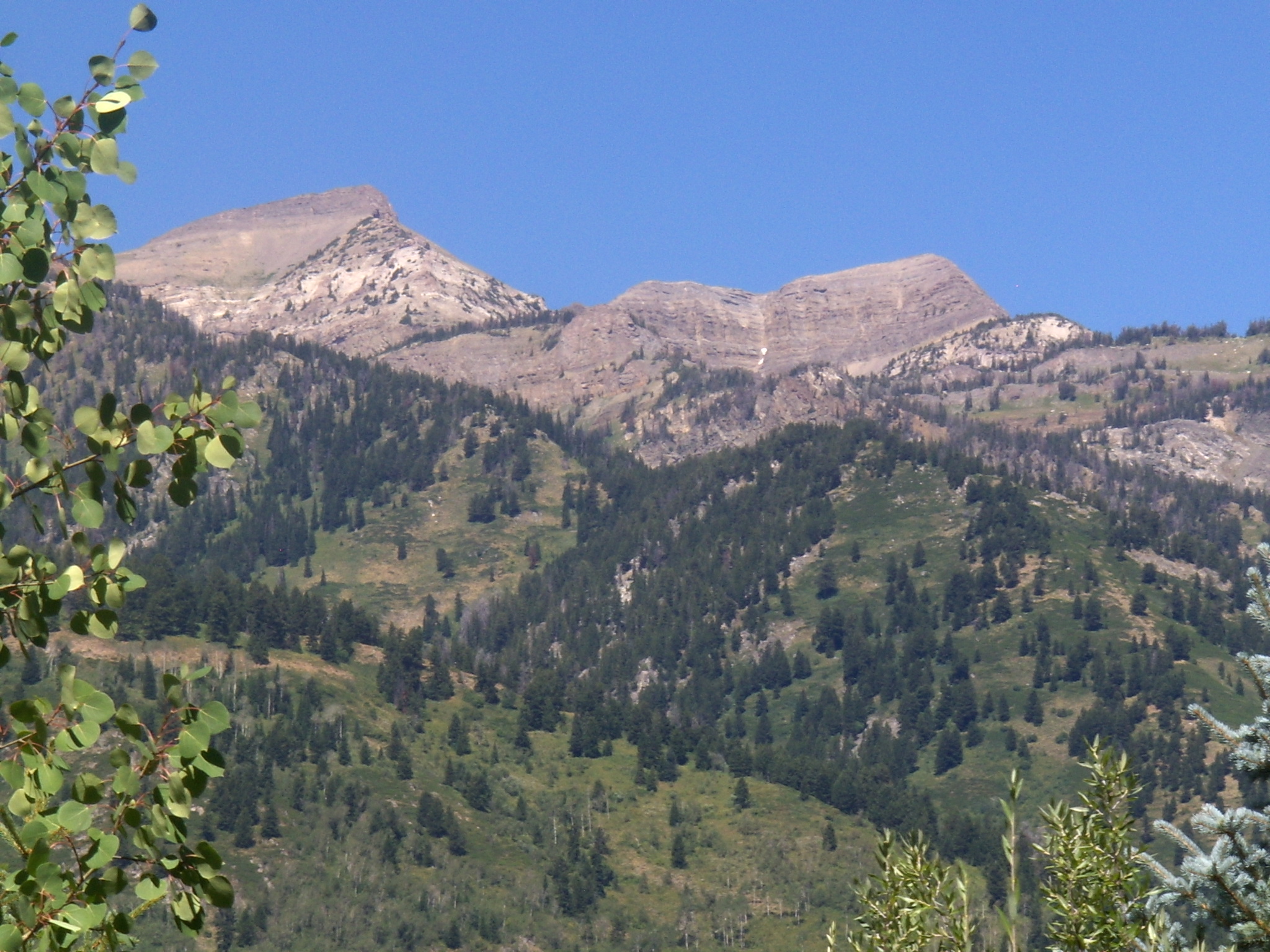 Jackson Hole Wy Home 1005497