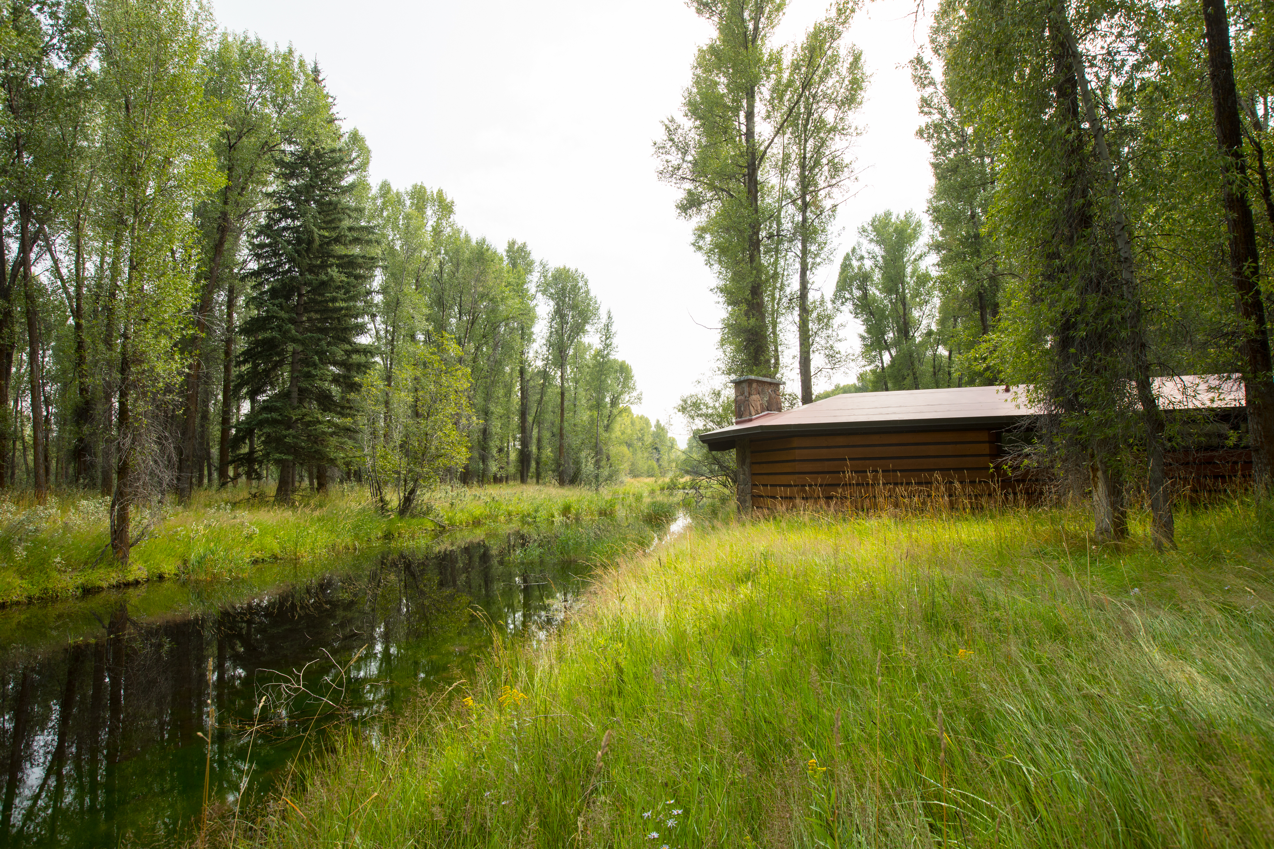 Jackson Hole Wy Home 1005499