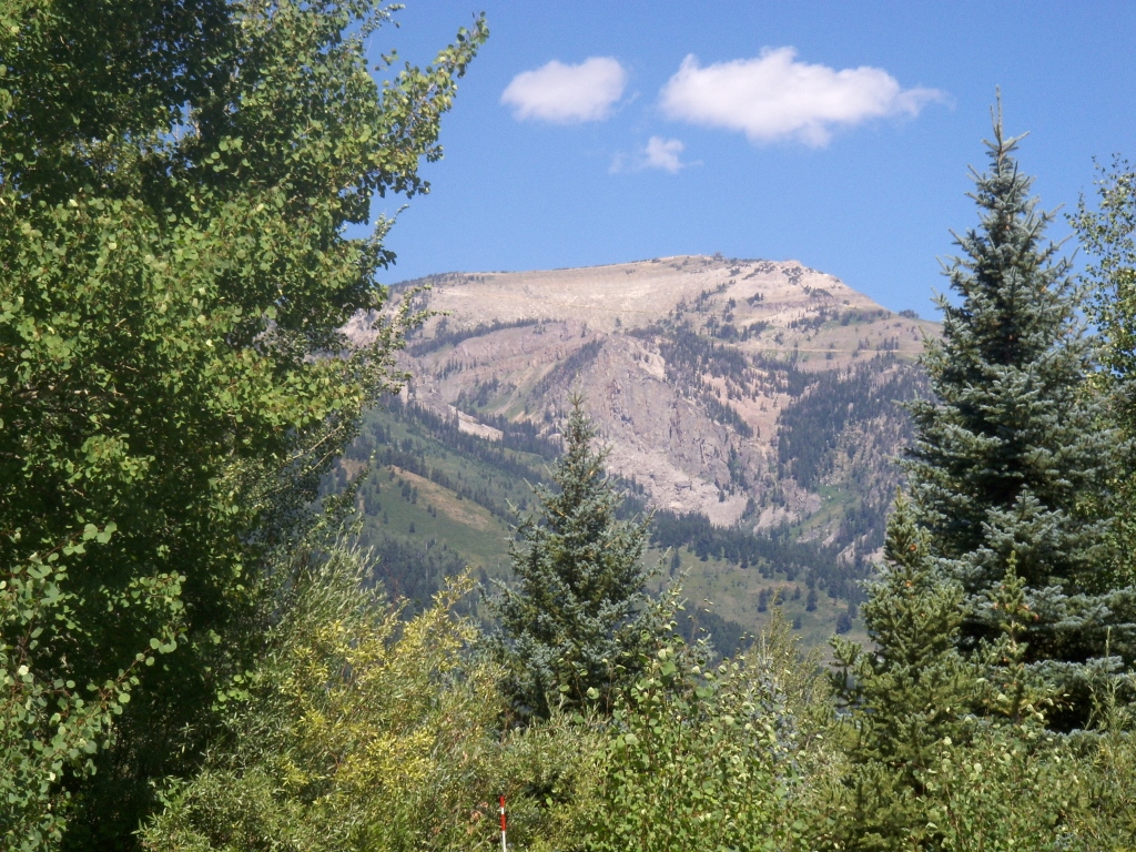 Jackson Hole Wy Home 1005500