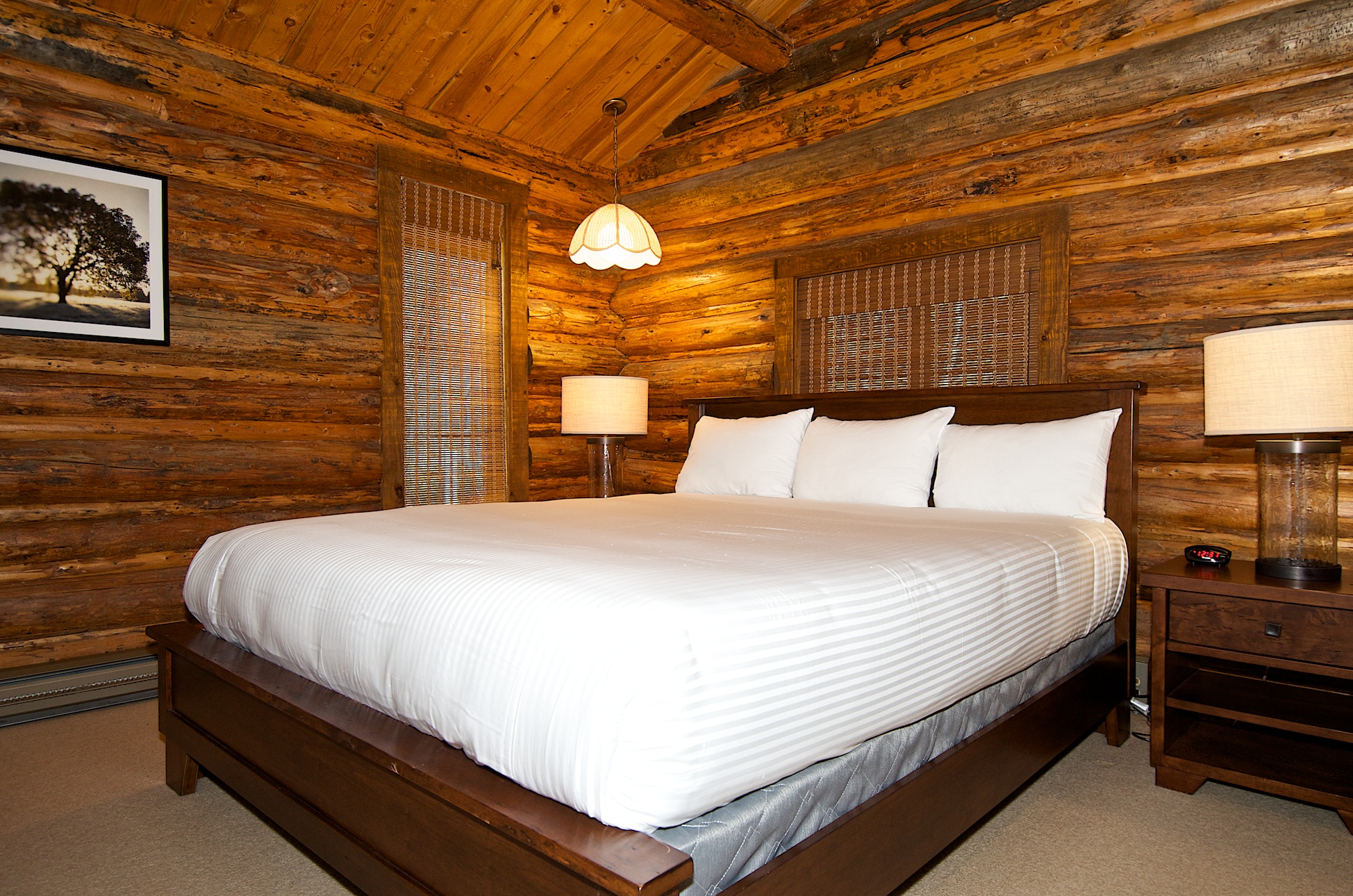 Jackson Hole Wy Home 1005501