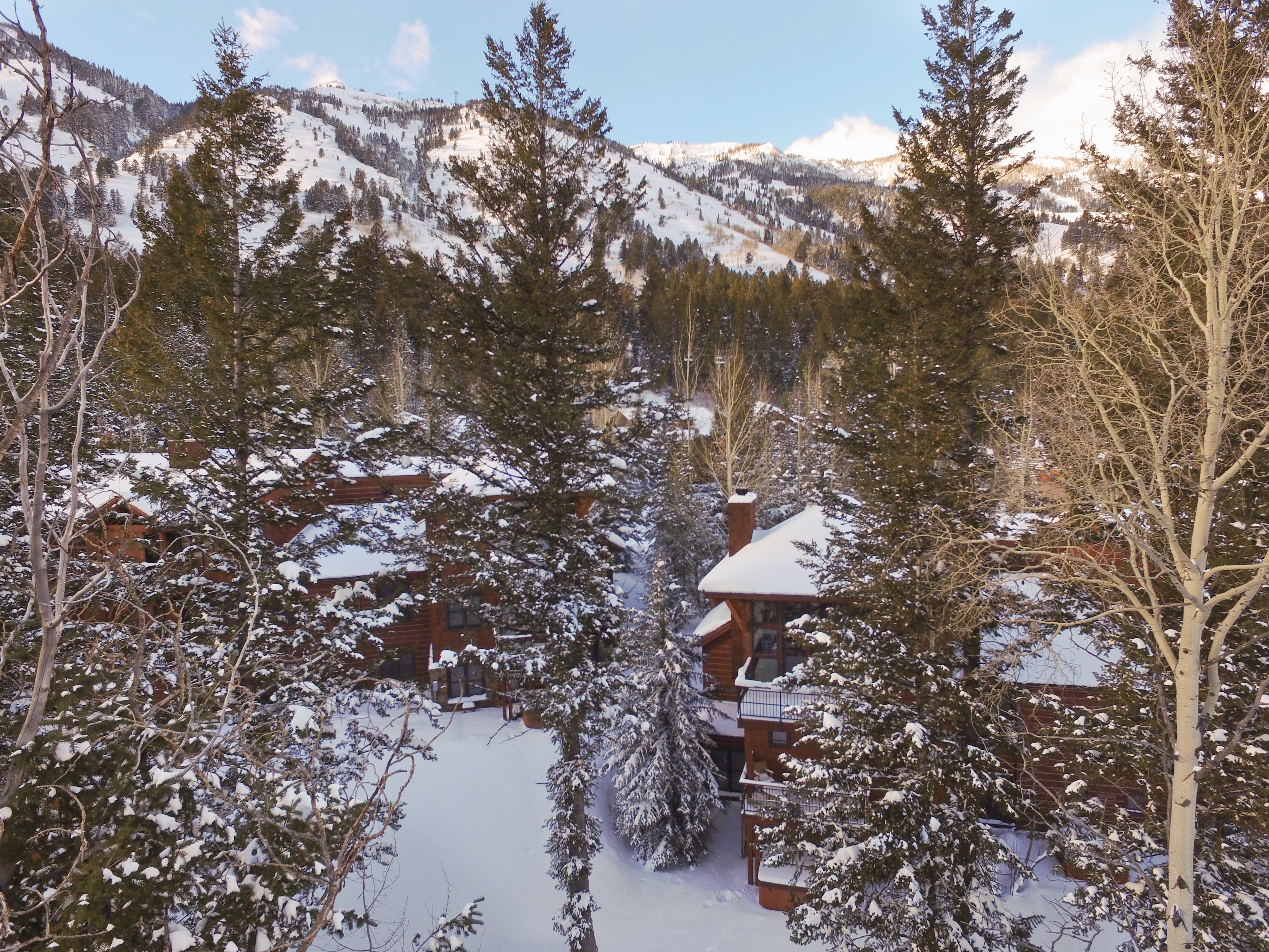 Jackson Hole Wy Home 1005505