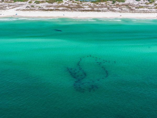 Blue Mountain Beach Vacation Rental - Six Bedroom Florida Coastal Home