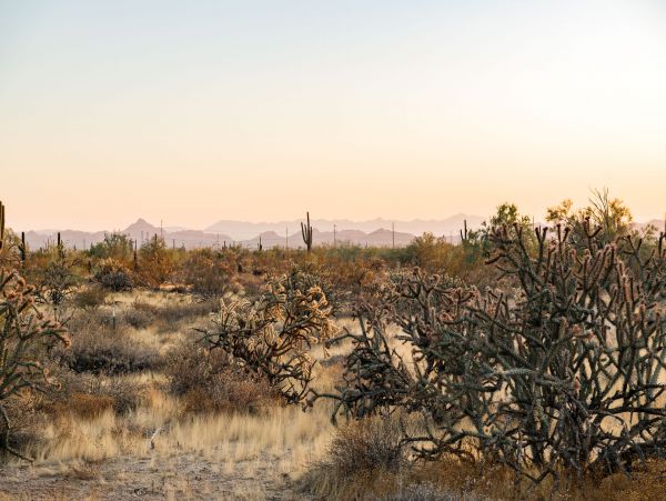 Scottsdale Home 1005528