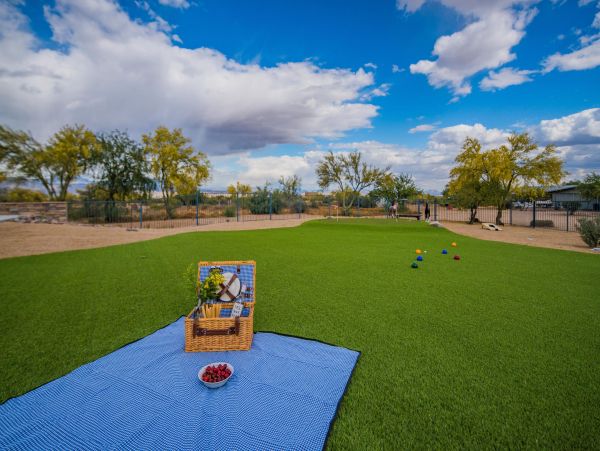 Luxury Scottsdale Estate 40 Acres Awaits Your Arrival.