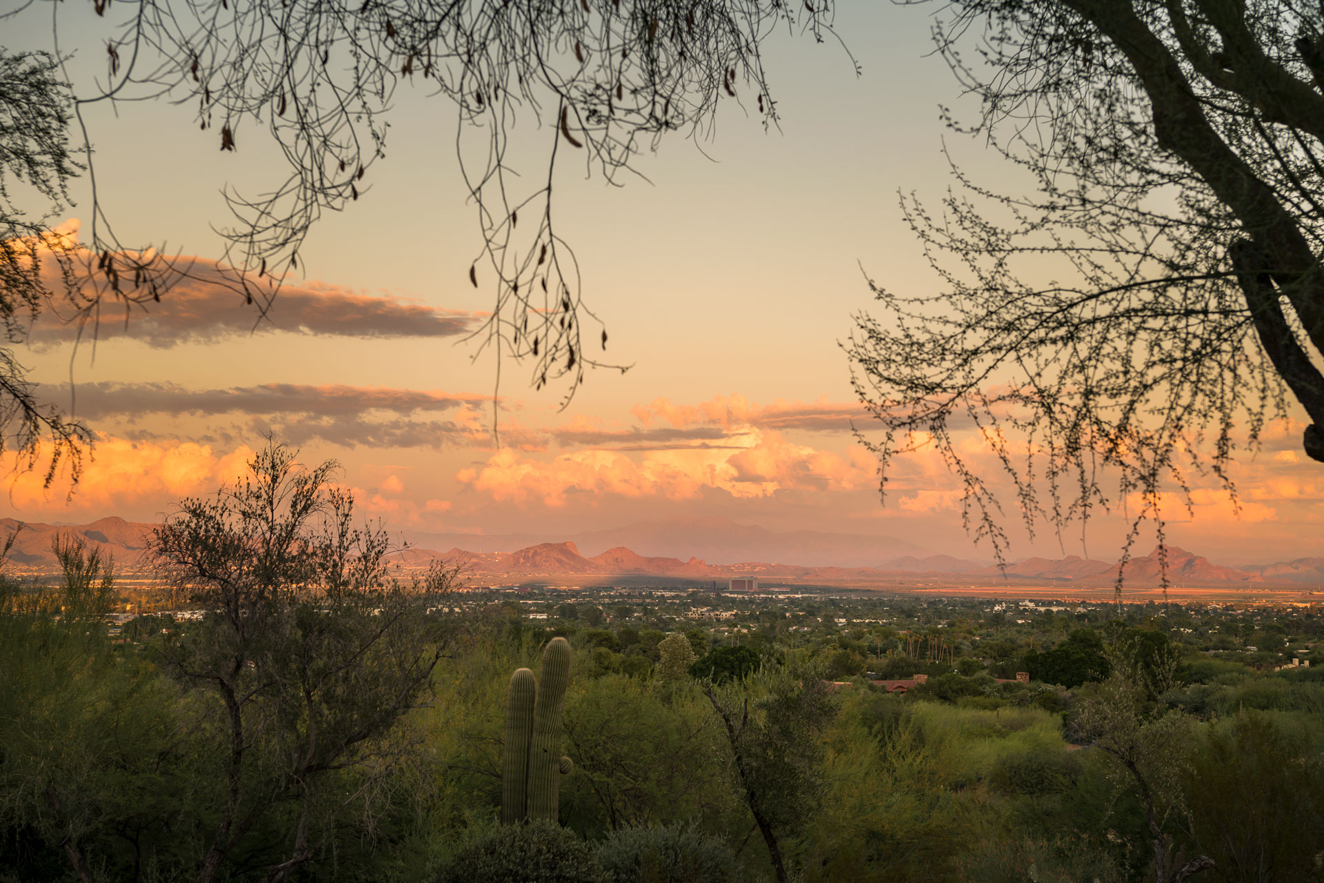 Scottsdale Home 1005546