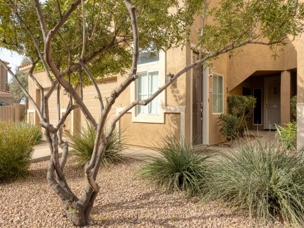 Scottsdale Home 1005549
