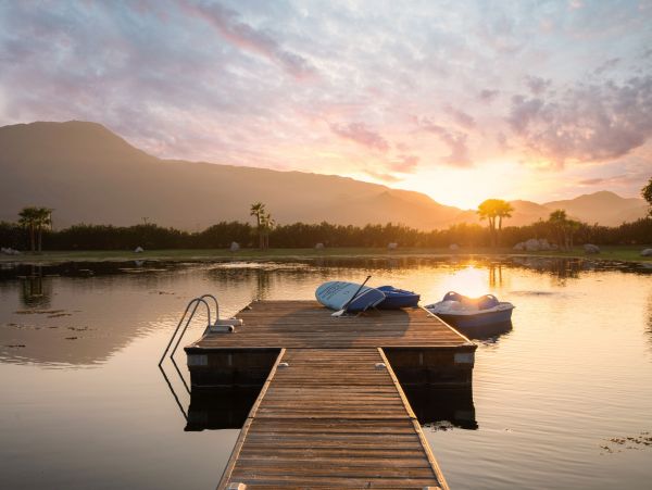 Palm Desert Home 1005584