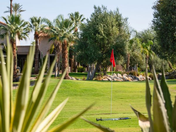 Palm Desert Home 1005588