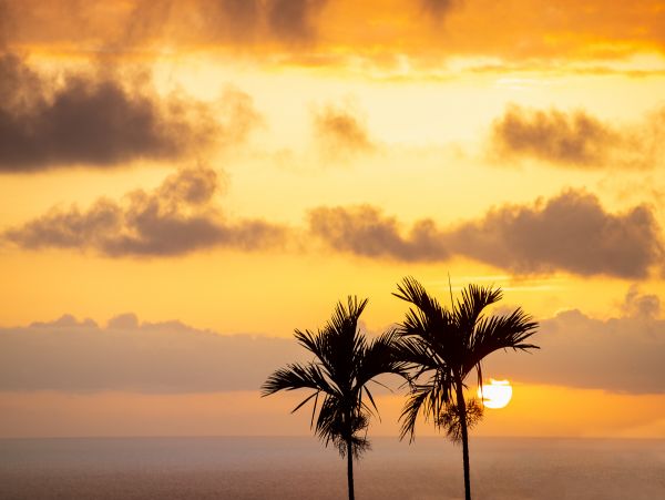 Kailua Kona Home 1005595