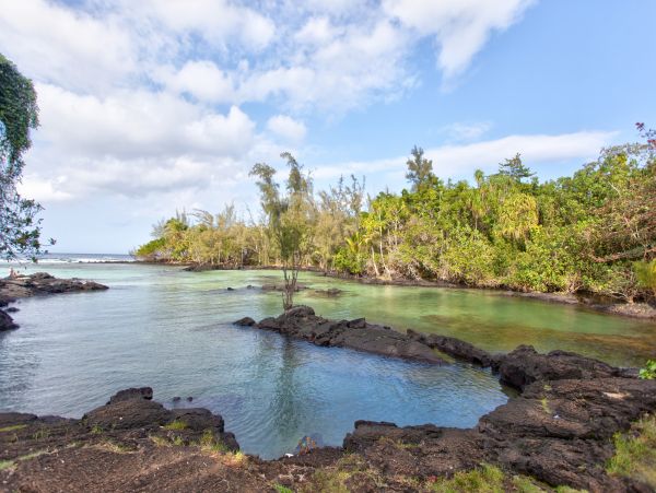 Hilo District Condo 1005639
