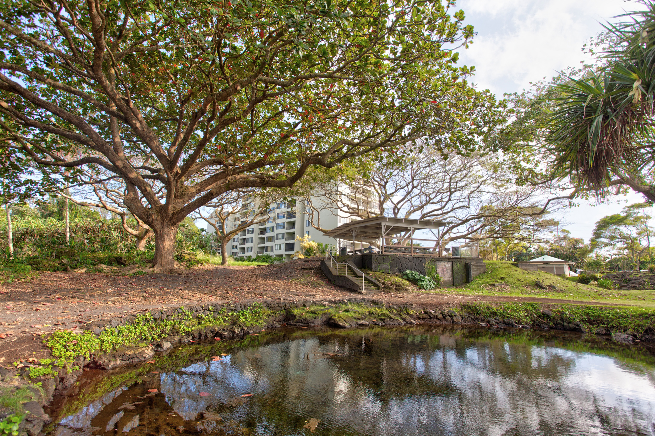 Hilo District Condo 1005639
