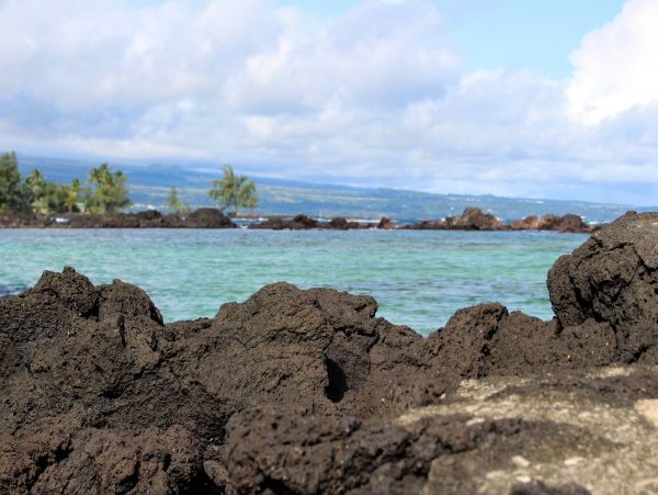 Hilo District Condo 1005639