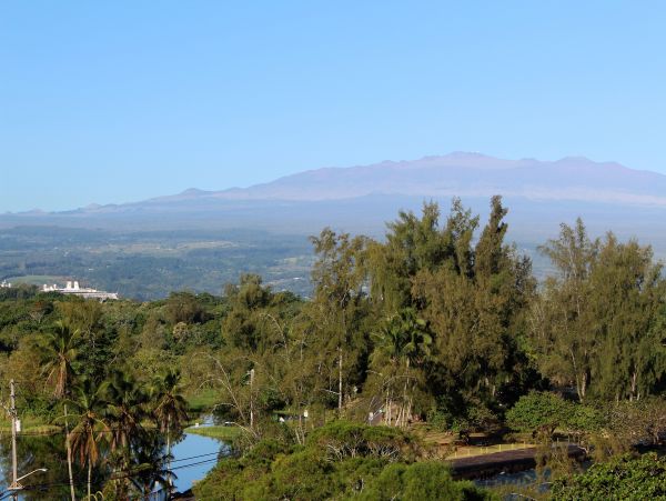 Hilo District Condo 1005639