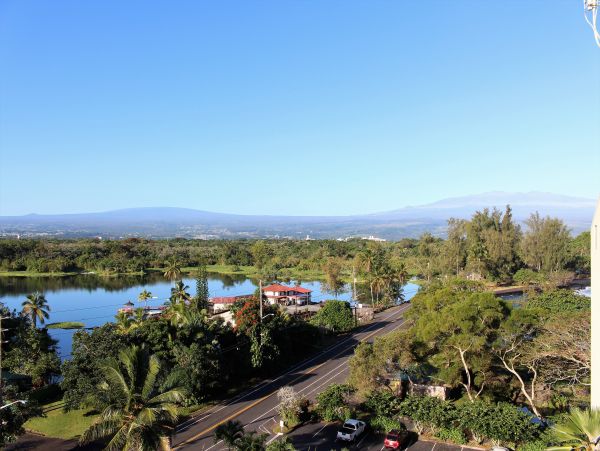 Hilo District Condo 1005639