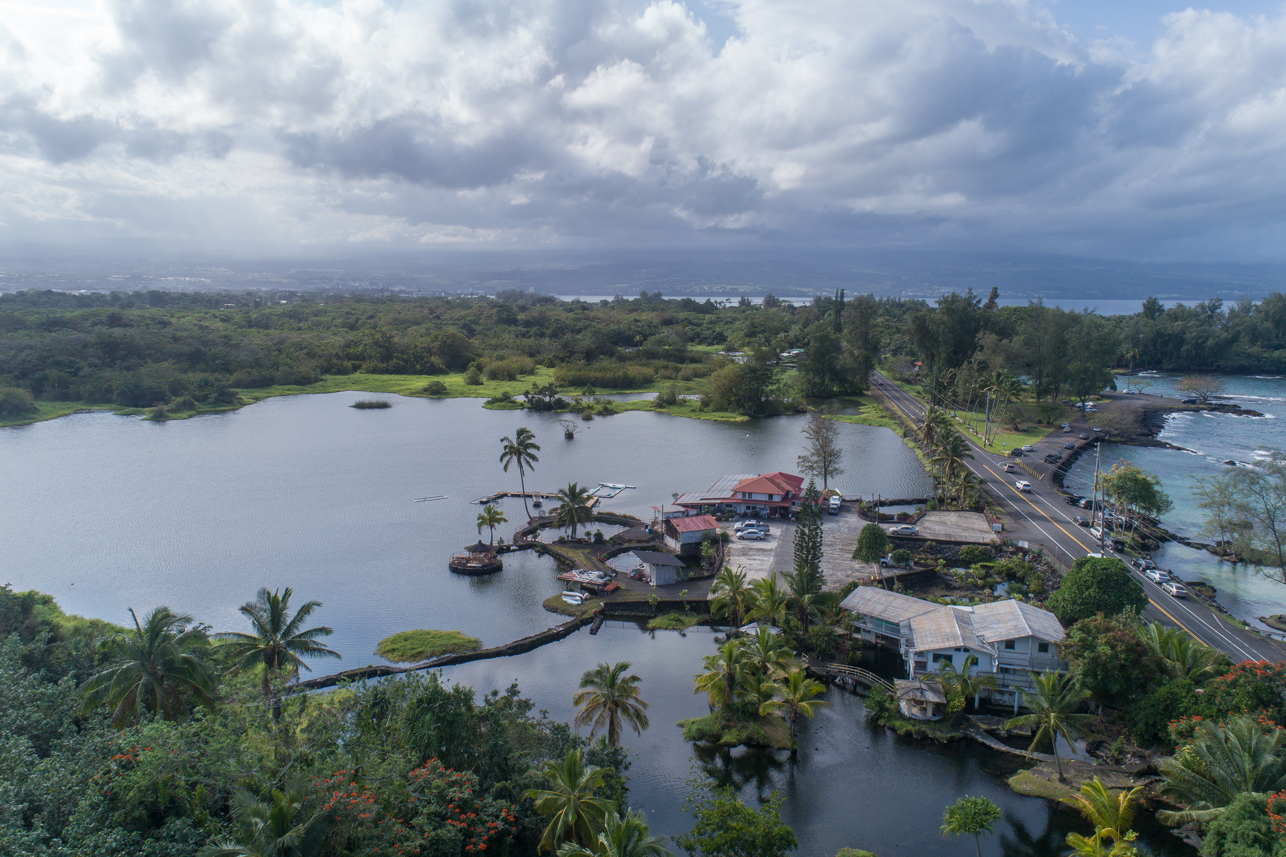 Hilo District Condo 1005639