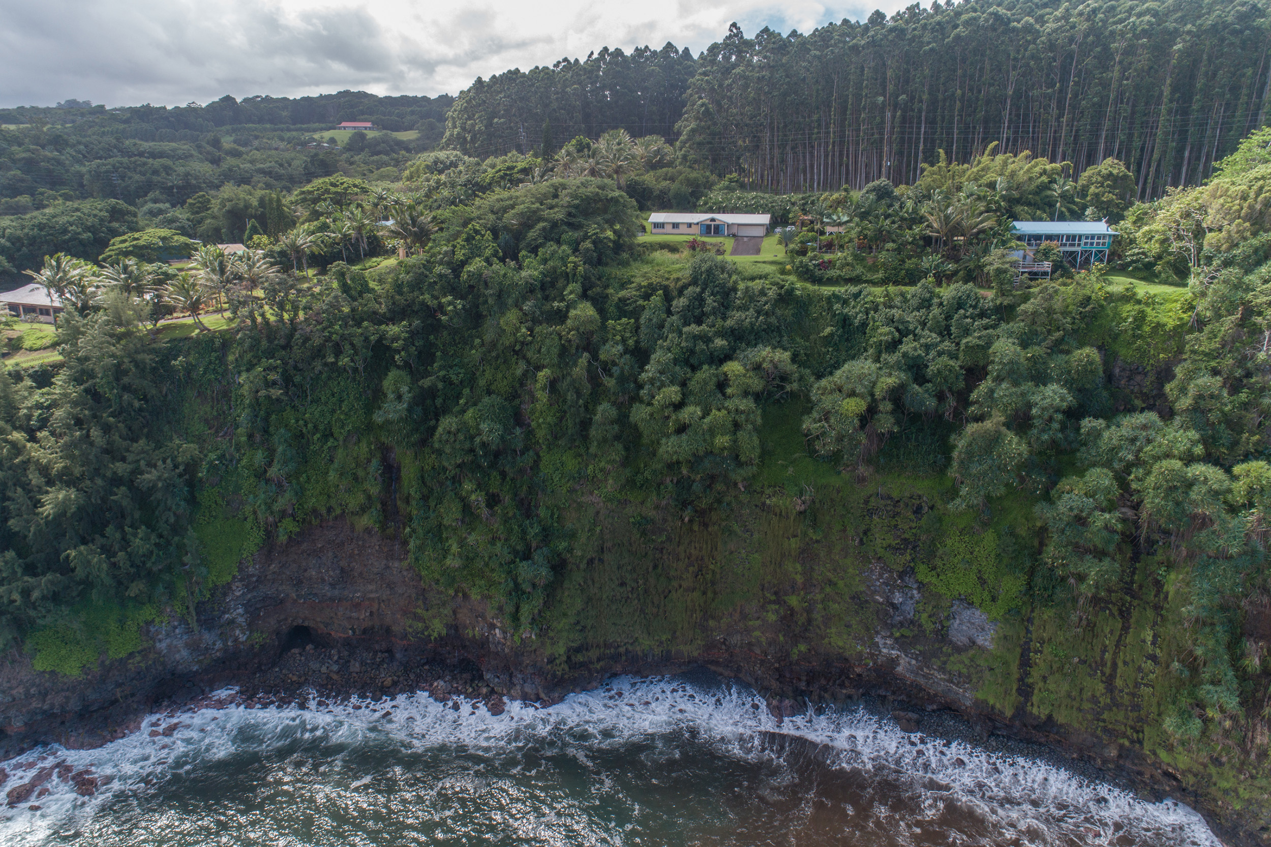 Hilo District Home 1005640