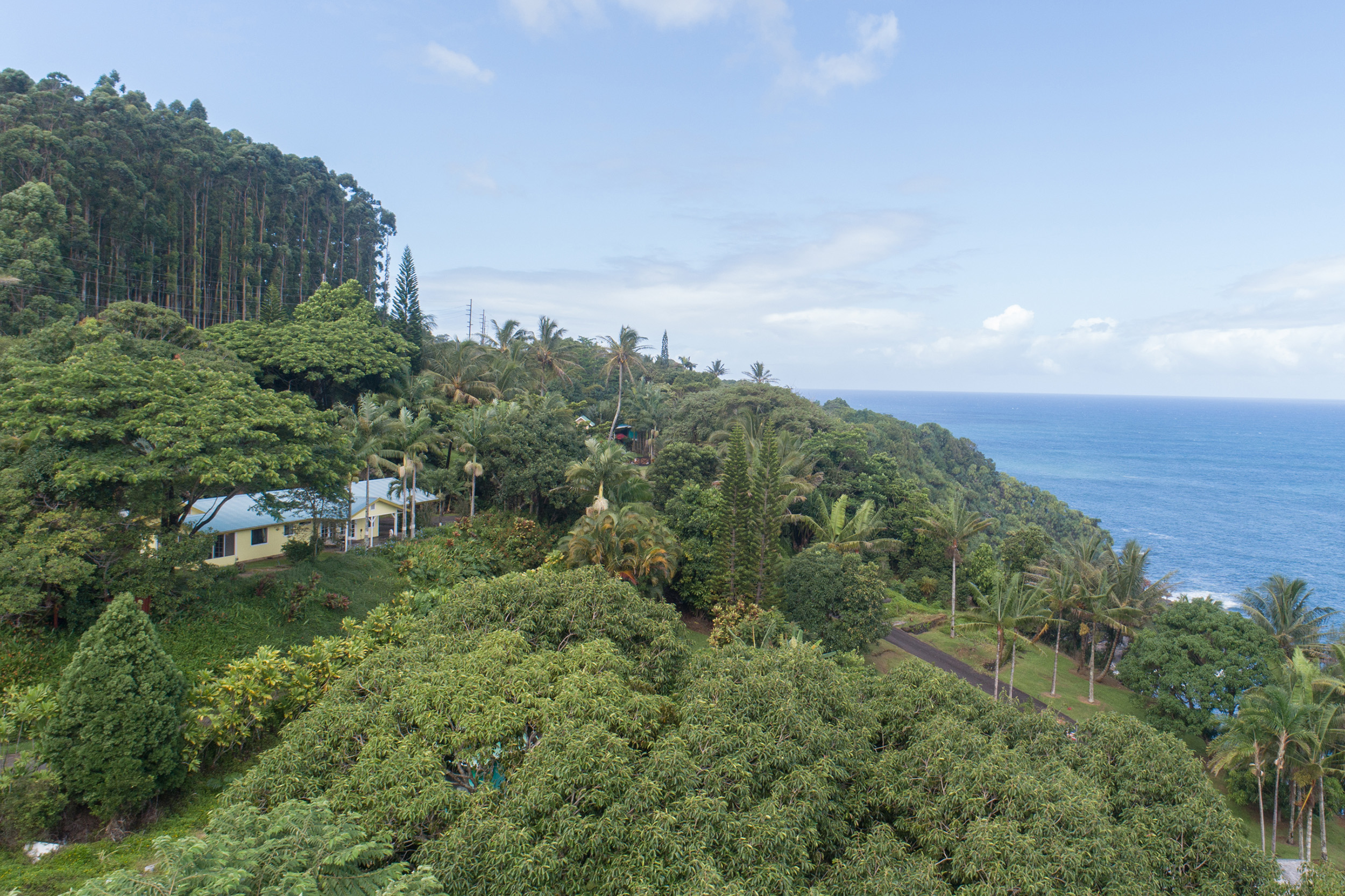 Hilo District Home 1005640