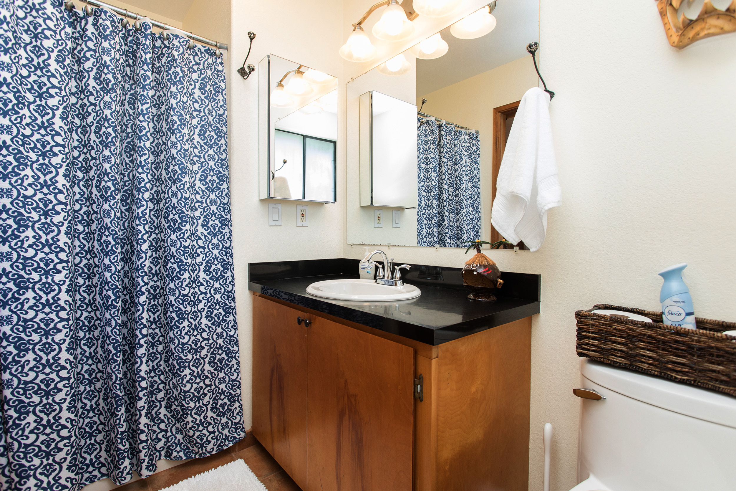 Hilo District Home 1005640