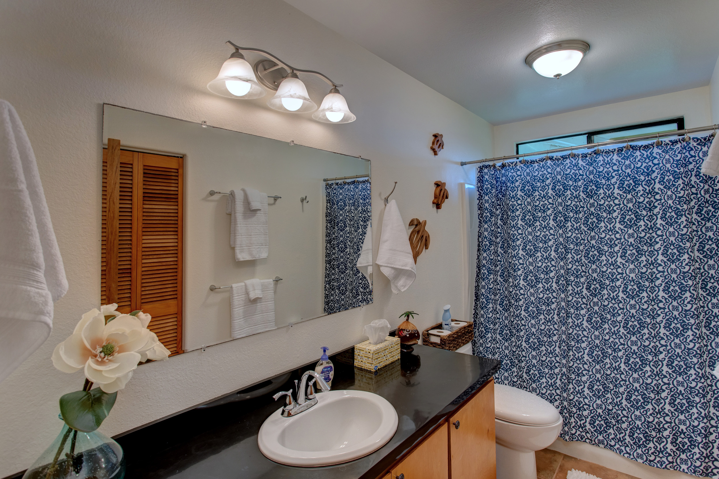 Hilo District Home 1005640