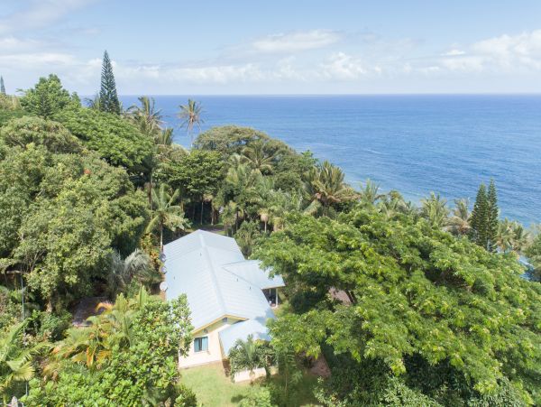 Hilo District Home 1005640