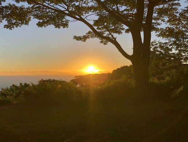 Hilo District Home 1005640
