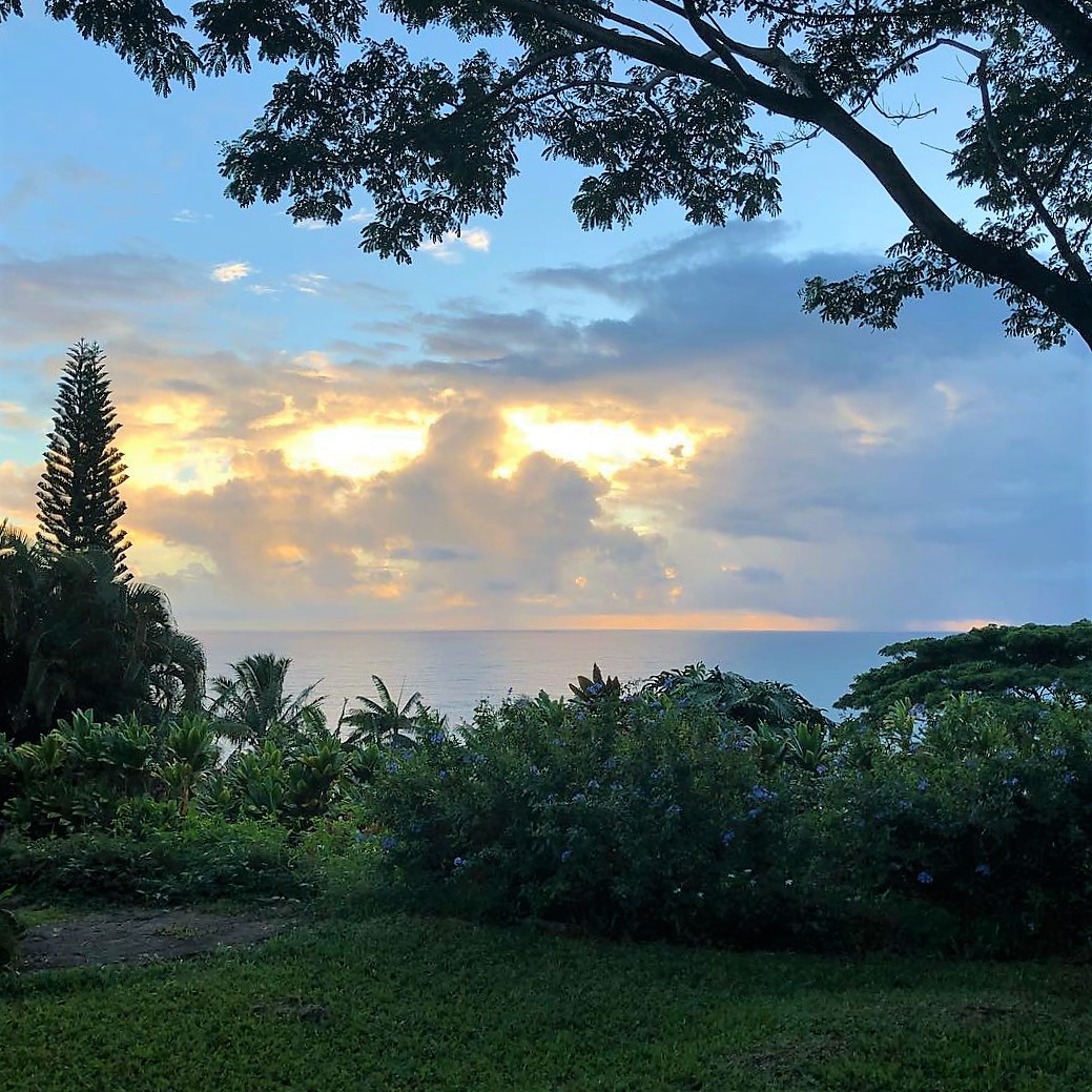 Hilo District Home 1005640