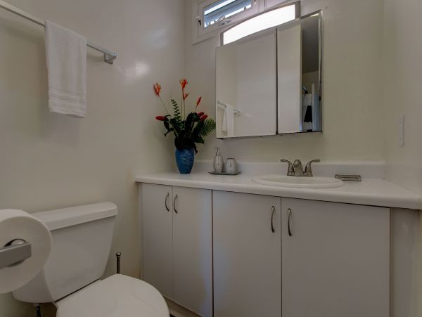 Hilo District Home 1005641