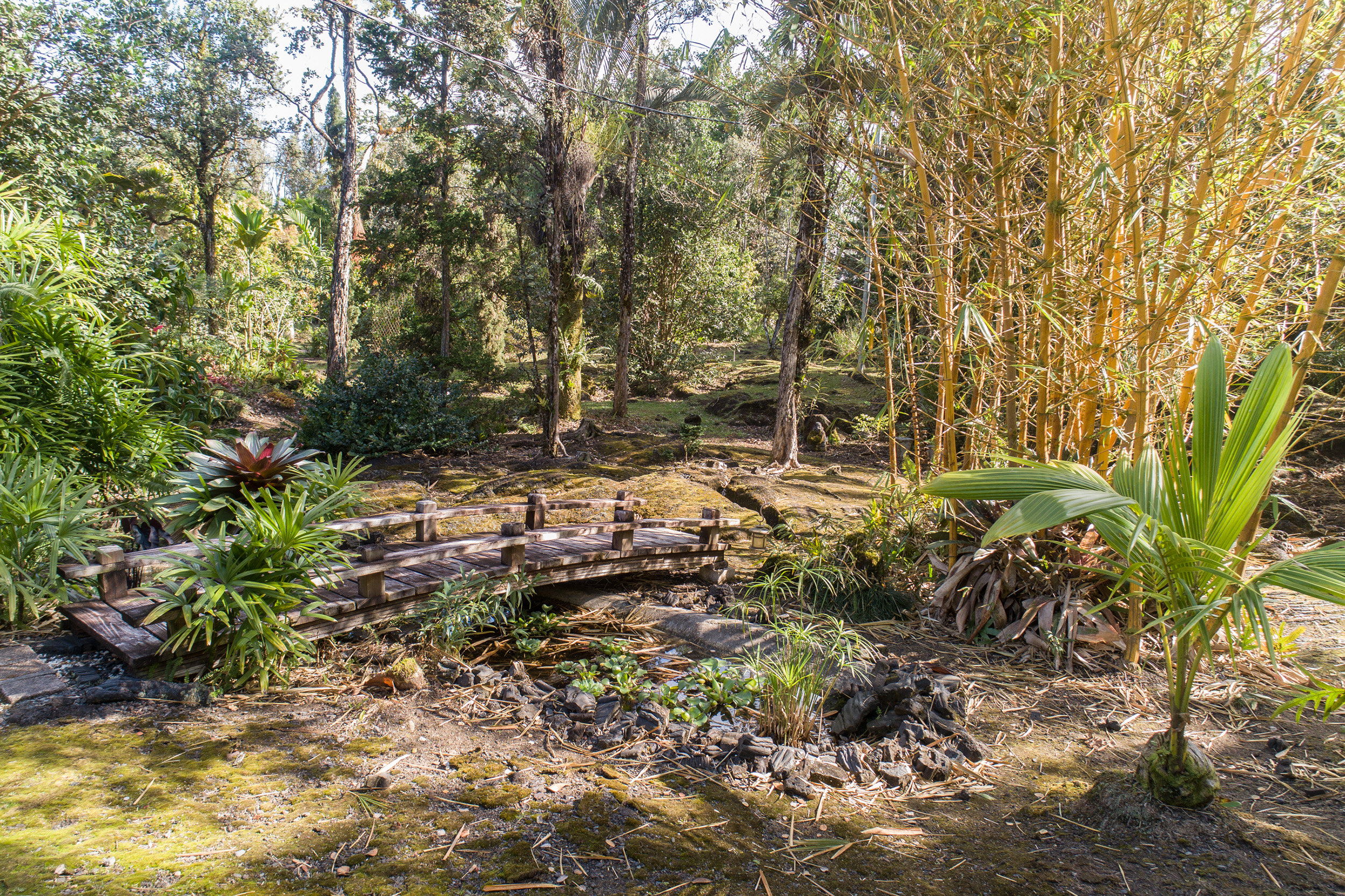 Hilo District Home 1005647