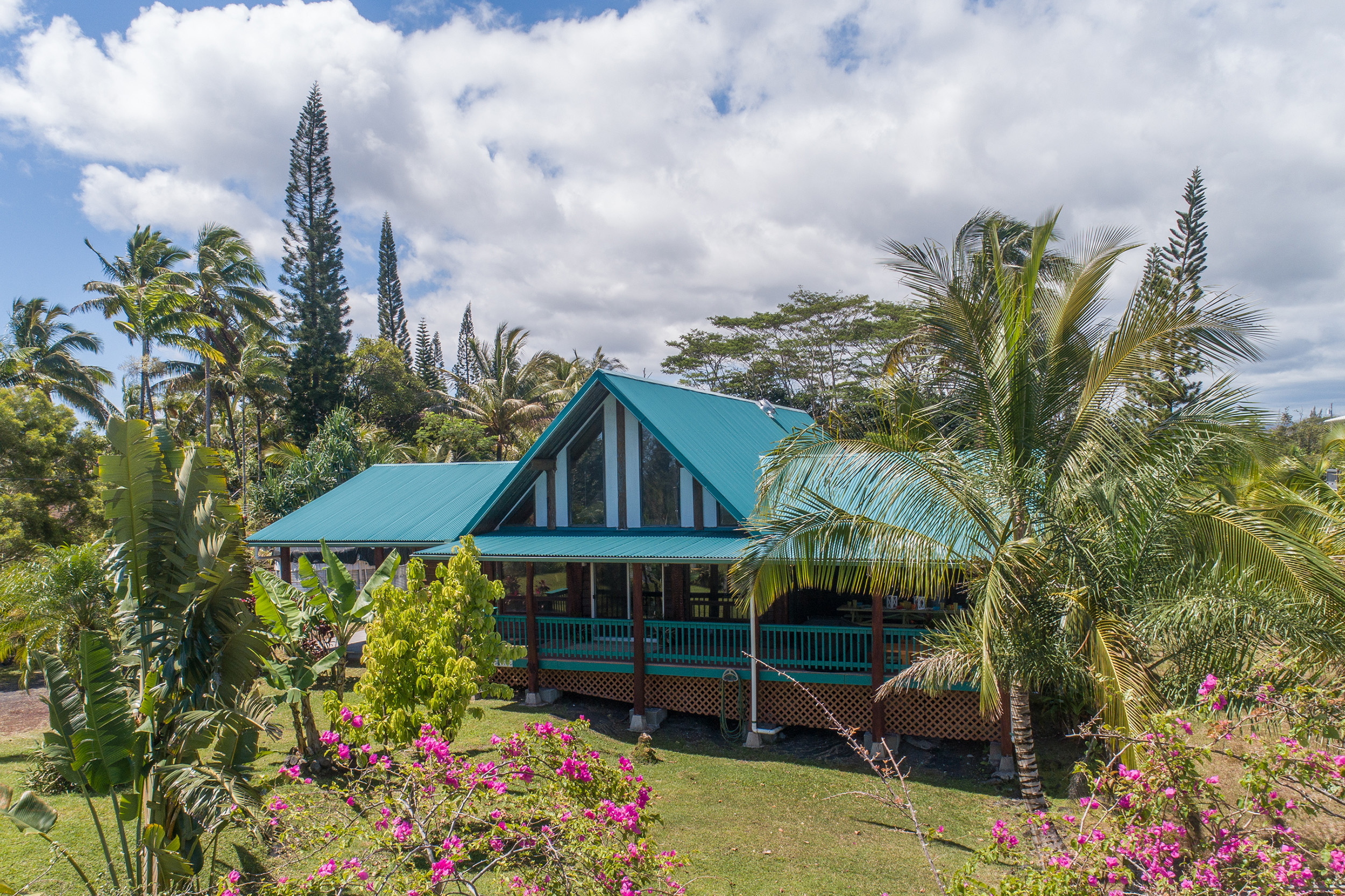 Hilo District Home 1005650