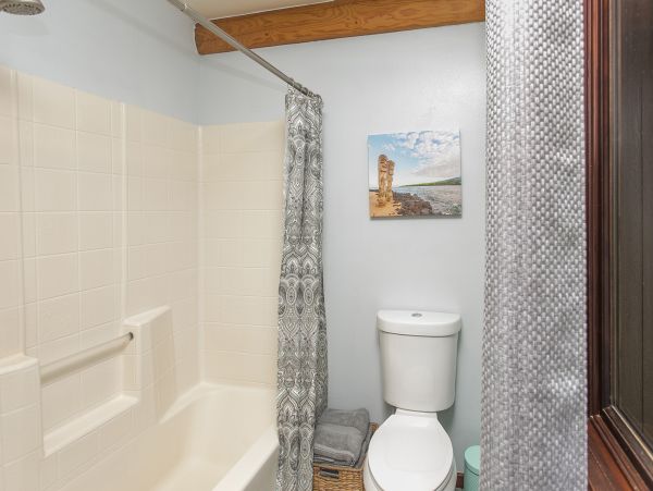 Hilo District Home 1005650