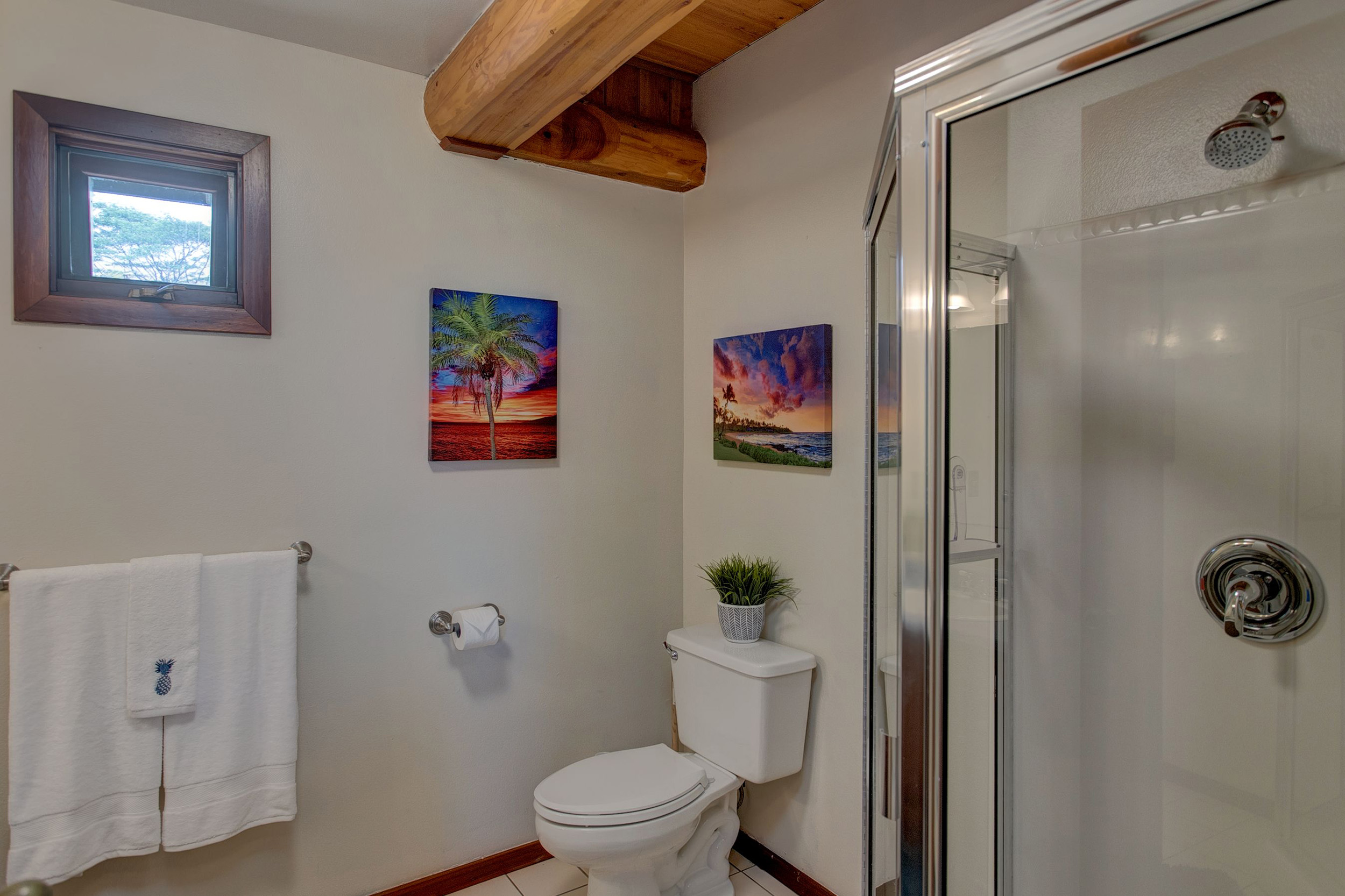 Hilo District Home 1005650