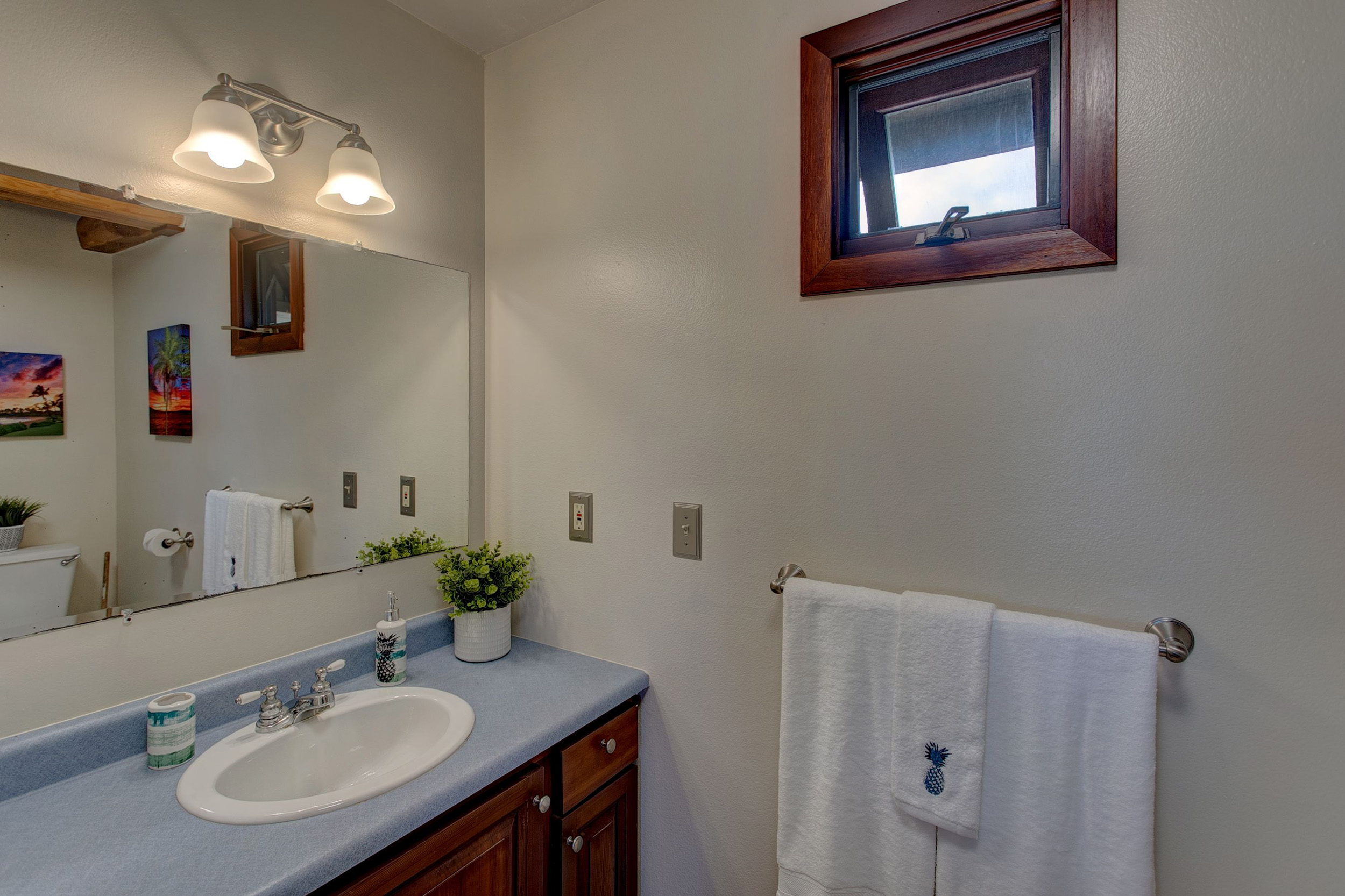 Hilo District Home 1005650