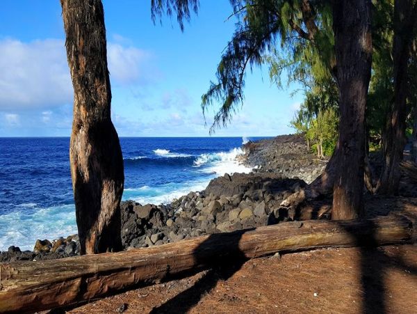 Hilo District Home 1005652
