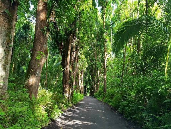 Hilo District Home 1005652