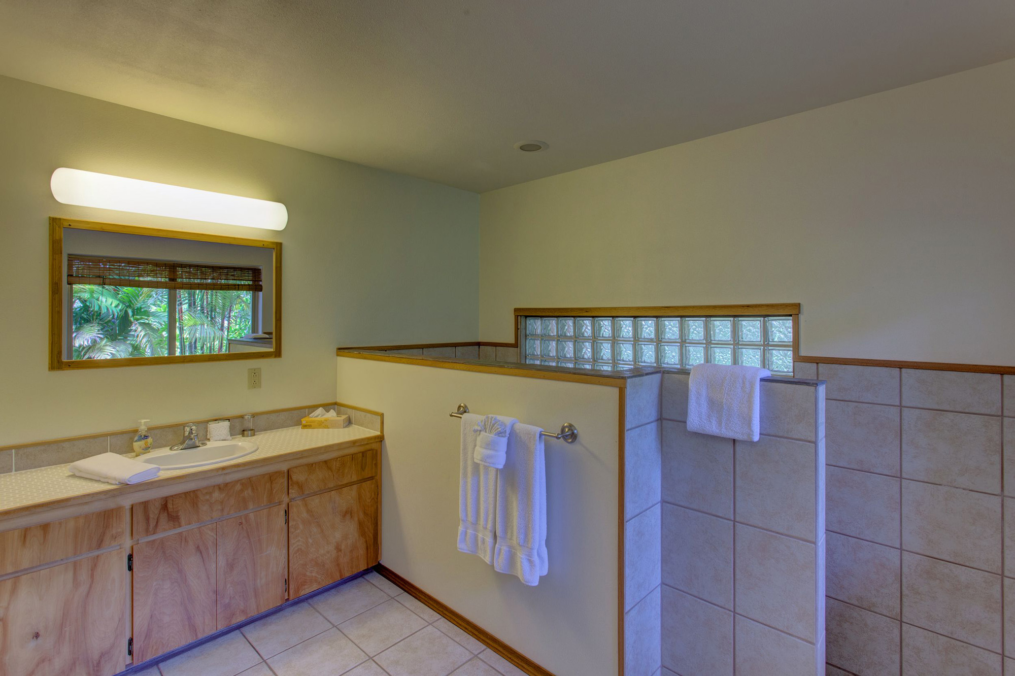 Hilo District Home 1005652