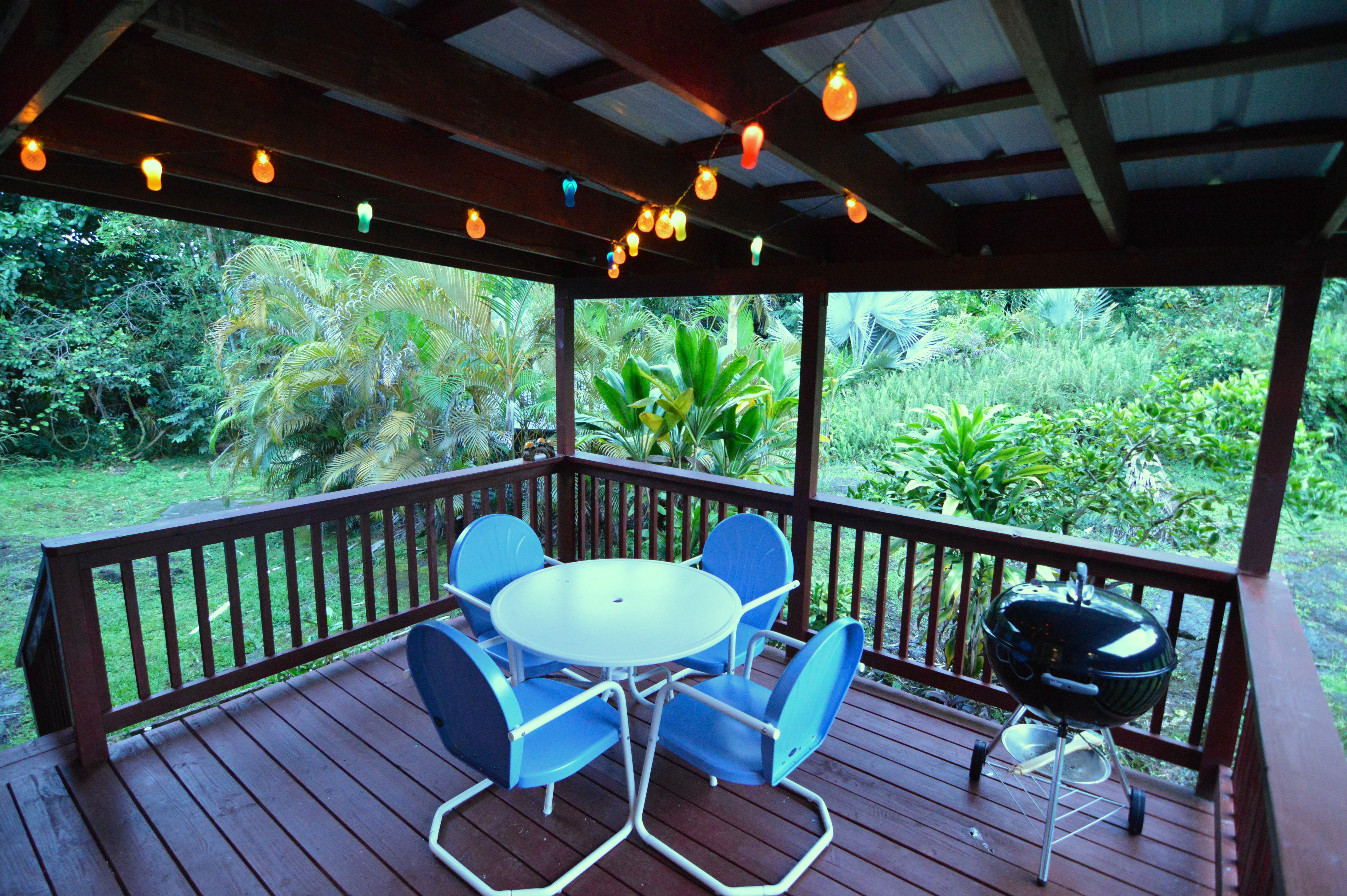 Hilo District Home 1005653