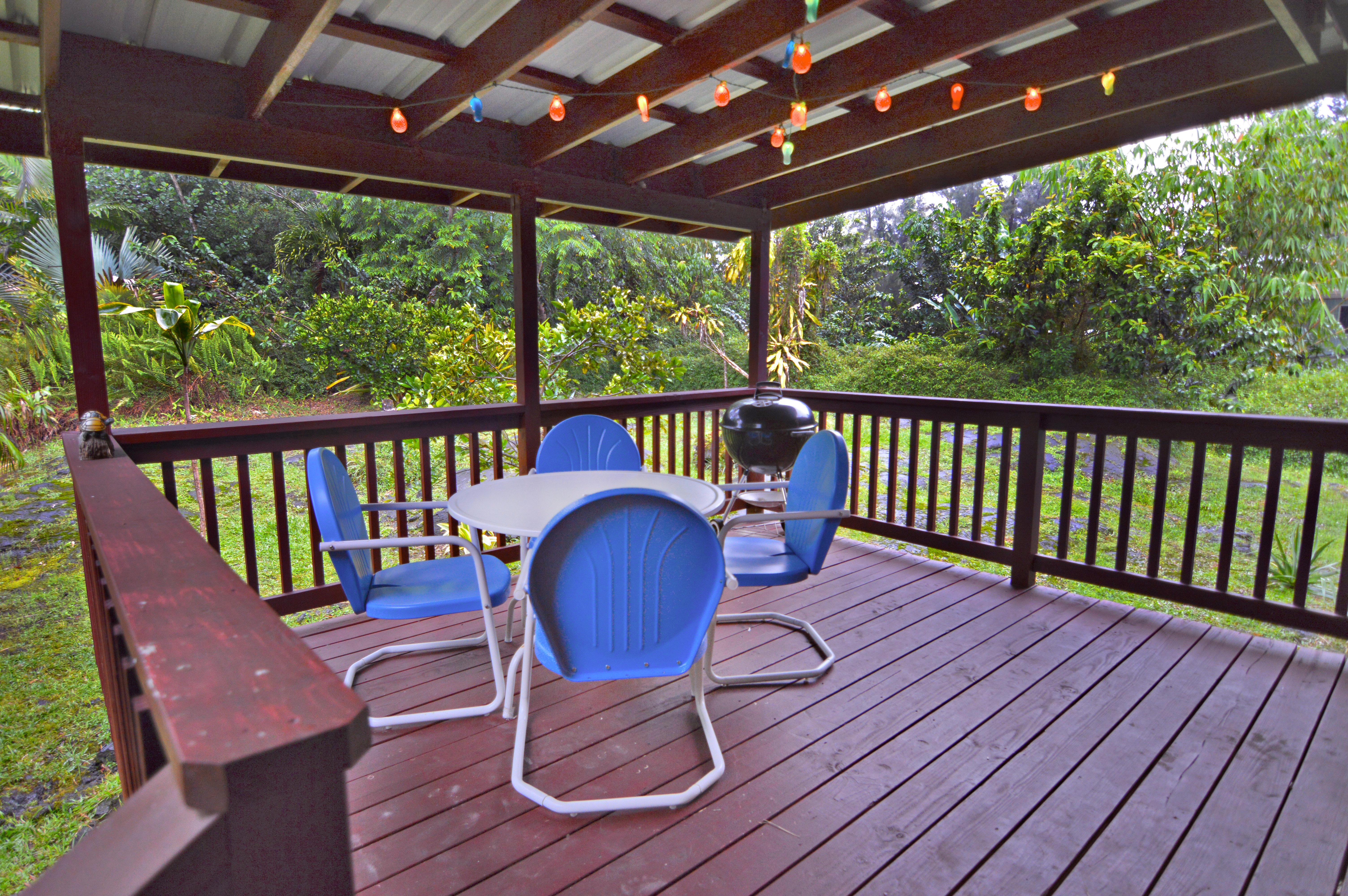 Hilo District Home 1005653