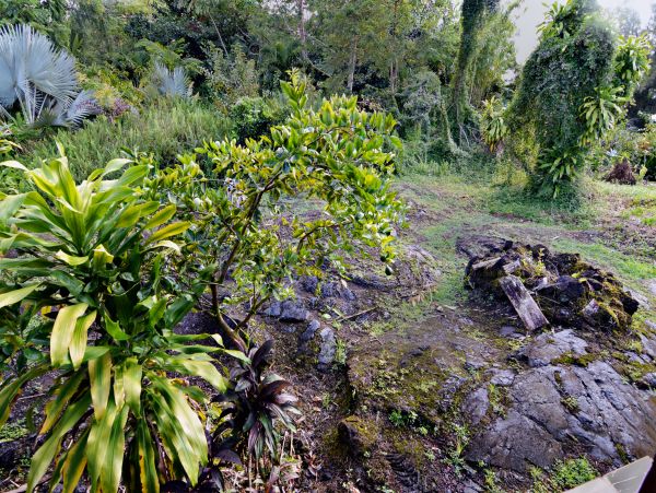 Hilo District Home 1005653