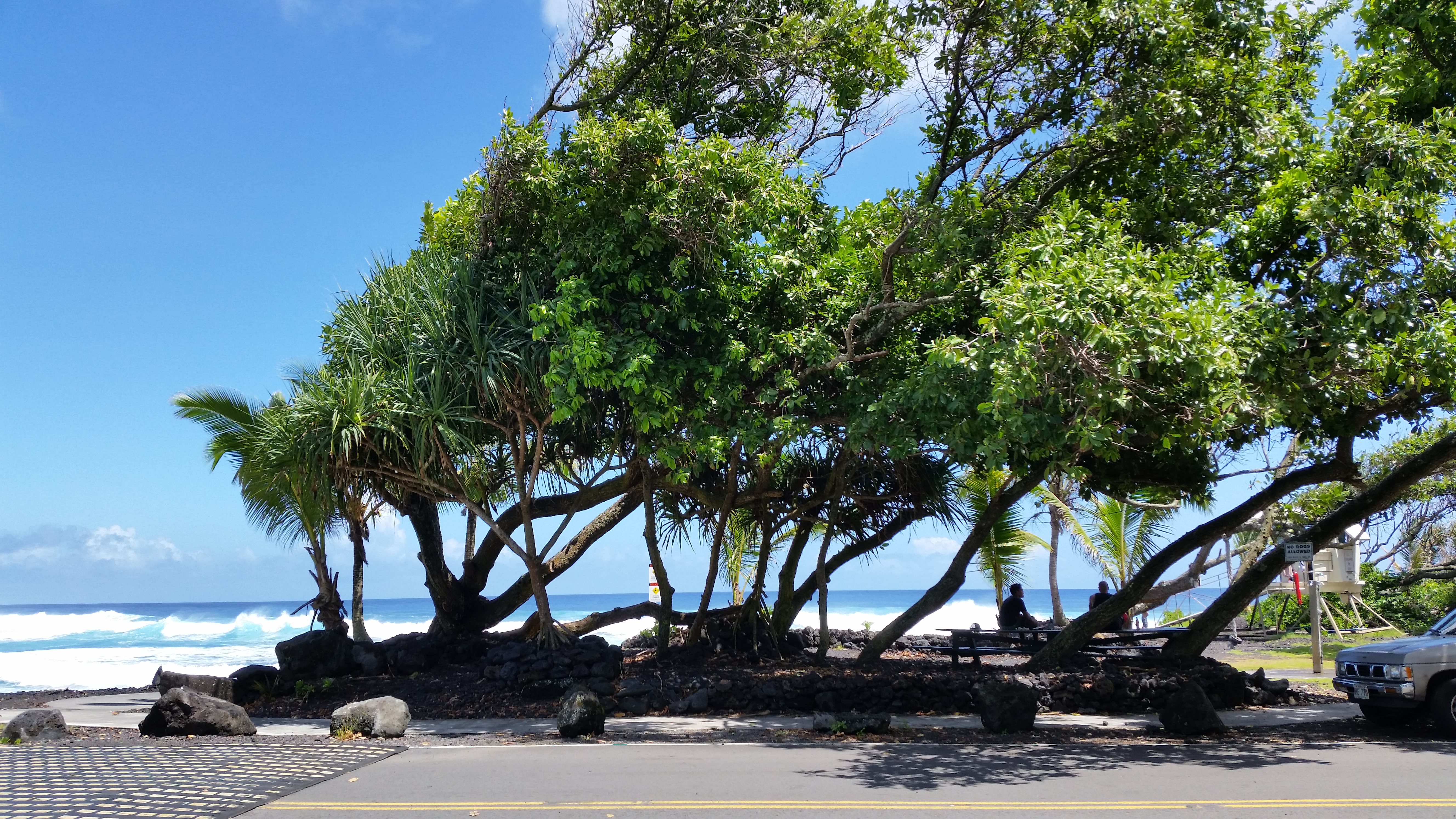 Hilo District Home 1005653