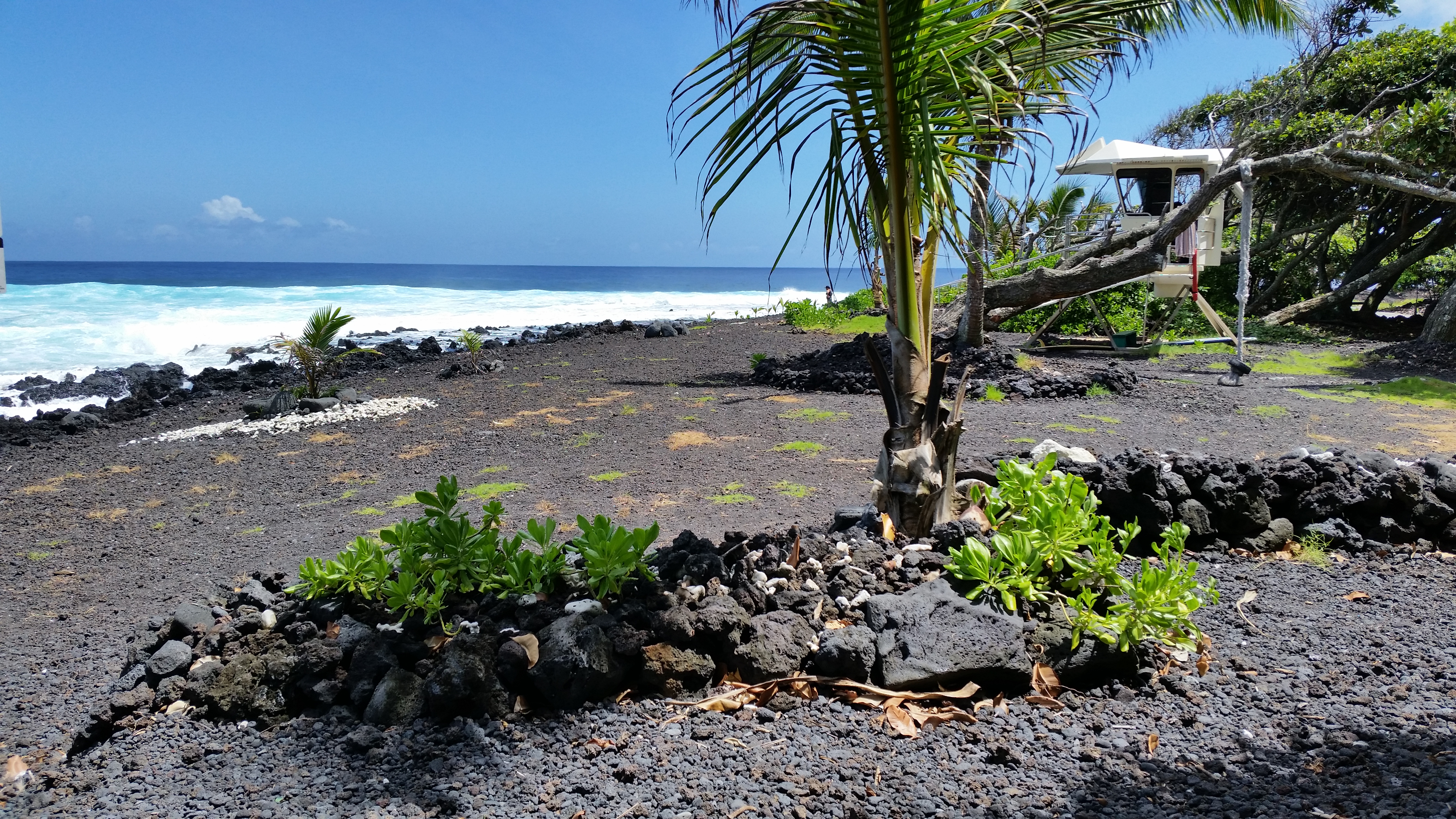 Hilo District Home 1005653